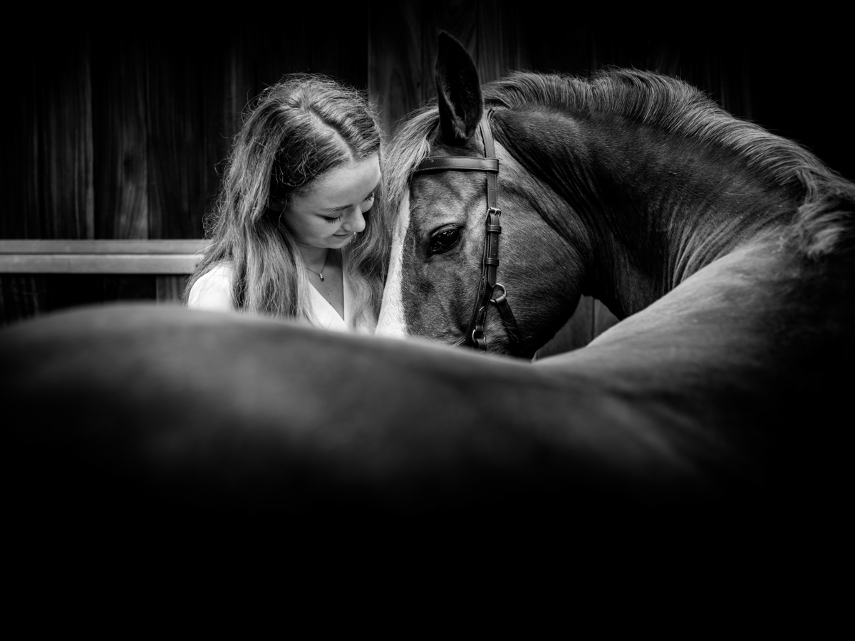 Horse Portrait Photographer Emma Ziff_15